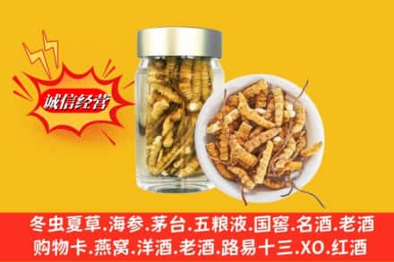 忻州市河曲回收散虫草