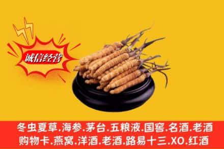 忻州市河曲求购回收虫草多少钱每克